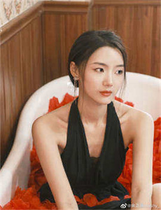 宋小姐闹离婚2